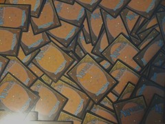 Random MTG 800 Count Box